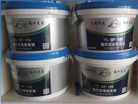 防水堵漏施工